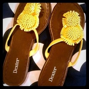 Yellow flippy floppys